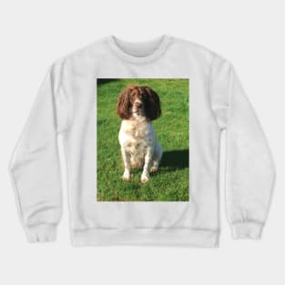 Sitting Pretty Crewneck Sweatshirt